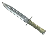 ★ Bayonet image