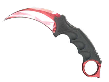 ★ Karambit | Slaughter image
