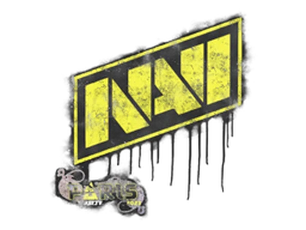 Sealed Graffiti | Natus Vincere | Paris 2023 image
