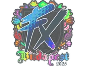 Sticker | Fluxo (Holo) | Budapest 2025 image