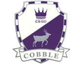 Cobblestone Pin image