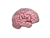 Sticker | CS On The Mind image