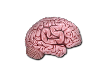 Sticker | CS On The Mind image