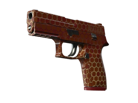 P250 | Hive image