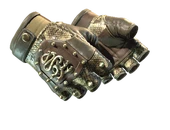 ★ Hydra Gloves | Rattler image