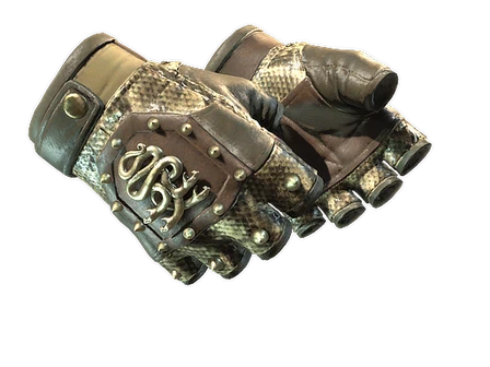 ★ Hydra Gloves | Rattler image