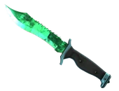 ★ Bowie Knife | Gamma Doppler Emerald image