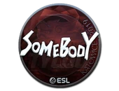 Sticker | somebody (Foil) | Katowice 2019 image