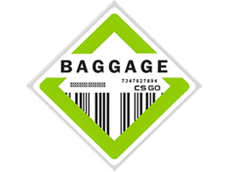 The Baggage Collection image