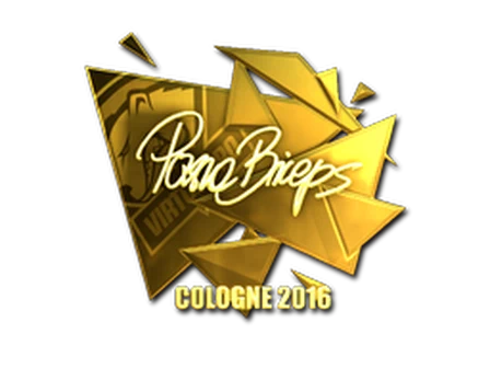 Sticker | pashaBiceps (Gold) | Cologne 2016 image