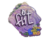Sticker | FL1T | Rio 2022 image