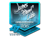 Sticker | hazed (Foil) | Cluj-Napoca 2015 image