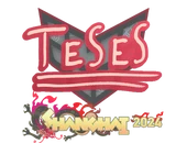 Sticker | TeSeS | Shanghai 2024 image