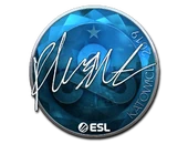 Sticker | flusha (Foil) | Katowice 2019 image