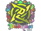 Sticker | Ninjas in Pyjamas (Holo) | Budapest 2025 image