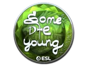 Sticker | sdy (Foil) | Katowice 2019 image