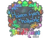 Sticker | hallzerk (Holo) | Budapest 2025 image