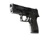 P250 | Metallic DDPAT image