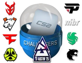 Austin 2025 Challengers Sticker Capsule image