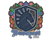 Sealed Graffiti | Team Liquid | Budapest 2025 image