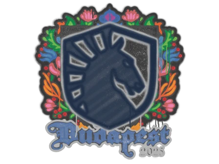 Sealed Graffiti | Team Liquid | Budapest 2025 image