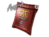 Autograph Capsule | Fnatic | Atlanta 2017 image