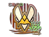 Sticker | Vitality (Holo) | 2020 RMR image