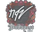 Sticker | NQZ | Budapest 2025 image