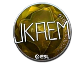 Sticker | jkaem (Foil) | Katowice 2019 image