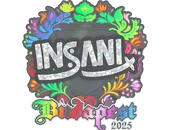 Sticker | insani (Holo) | Budapest 2025 image