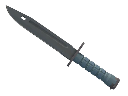 ★ Bayonet | Night image