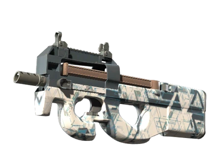 P90 | Schematic image