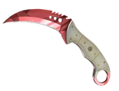 ★ Talon Knife | Slaughter image