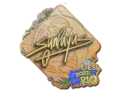 Sticker | SunPayus (Holo) | Rio 2022 image