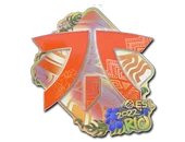 Sticker | Fnatic (Holo) | Rio 2022 image