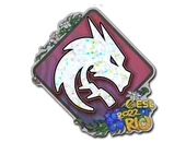 Sticker | Team Spirit (Glitter) | Rio 2022 image