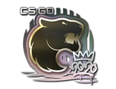 Sticker | FURIA | 2020 RMR image