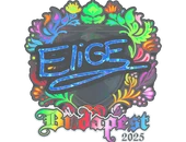 Sticker | EliGE (Holo) | Budapest 2025 image
