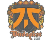 Sticker | fnatic | Budapest 2025 image