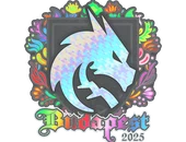 Sticker | Team Spirit (Holo) | Budapest 2025 image