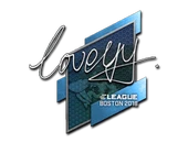 Sticker | LoveYY | Boston 2018 image