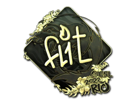Sticker | FL1T (Gold) | Rio 2022 image