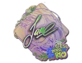 Sticker | Jame (Holo) | Rio 2022 image