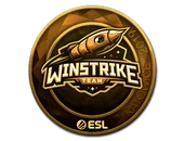 Sticker | Winstrike Team (Gold) | Katowice 2019 image