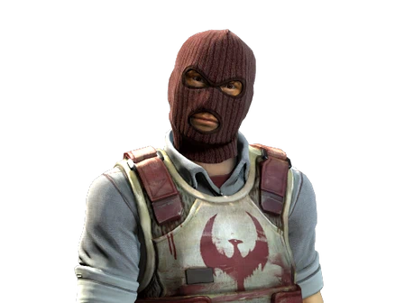 Soldier | Phoenix image