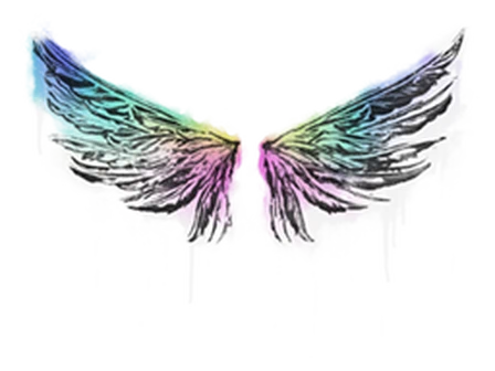 Sealed Graffiti | Wings image