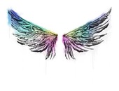 Sealed Graffiti | Wings image