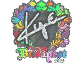 Sticker | kye (Holo) | Budapest 2025 image