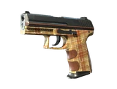 P2000 | Coach Class image