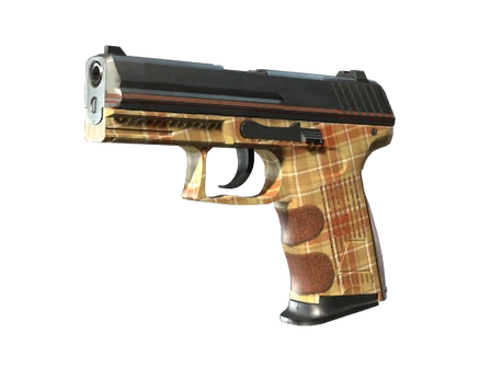 P2000 | Coach Class image